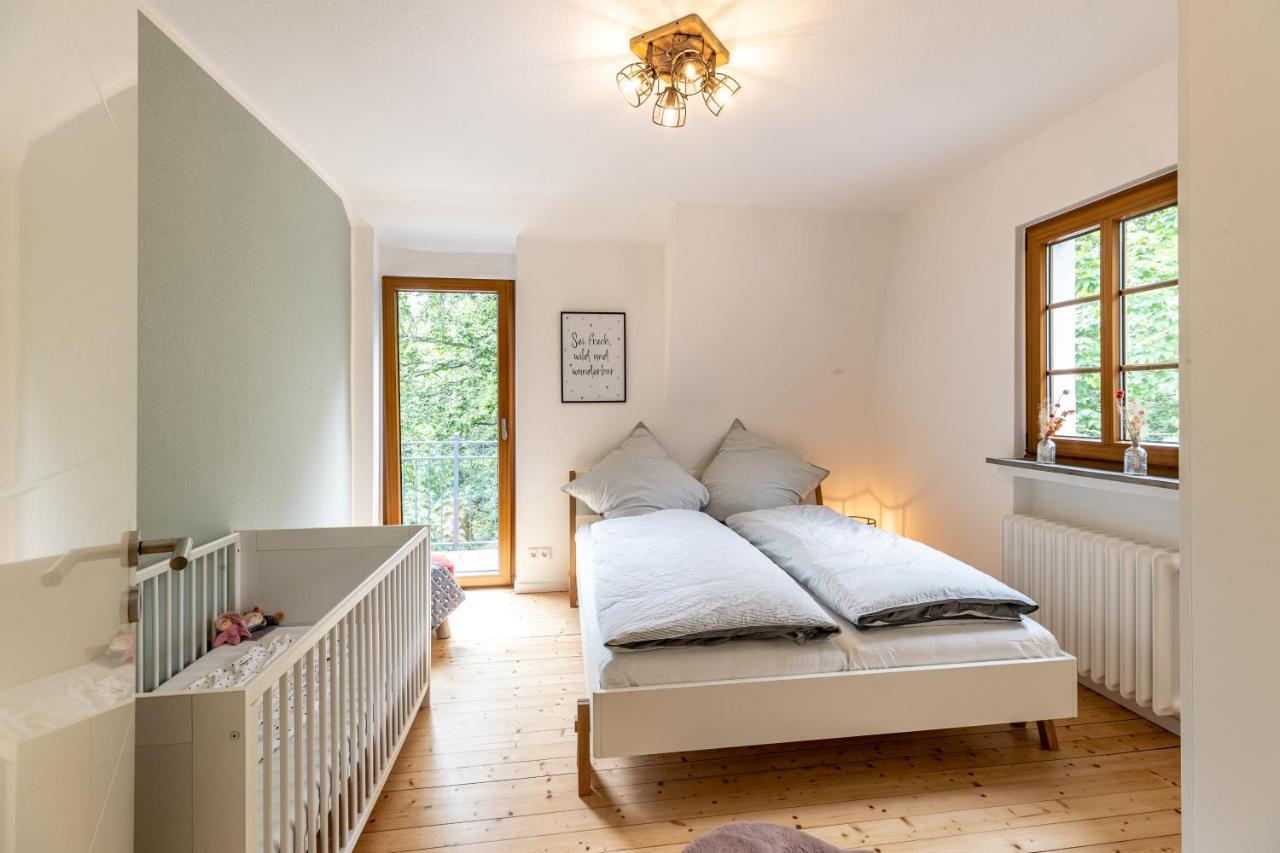 Landhaus Karbach Komplett Oder Einzelne Wohneinheiten Villa Inkl Sauna Bzw Waldhaeuschen Hirten المظهر الخارجي الصورة